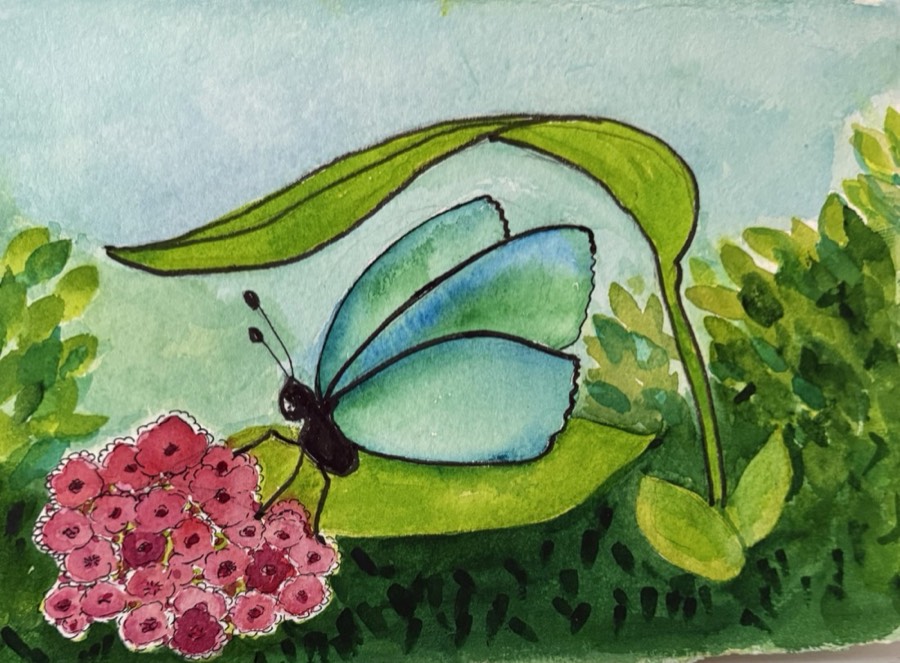 Watercolor butterfly by Jean Richards